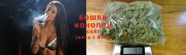 шишки Михайлов