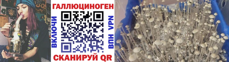 Галлюциногенные грибы GOLDEN TEACHER  где купить наркоту  Камень-на-Оби 