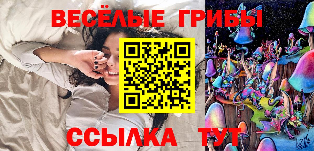 Камень-на-Оби  Псилоцибиновые грибы Magic Shrooms  Вход с VPN  Галлюциногенные грибы Psilocybine cubensis 
