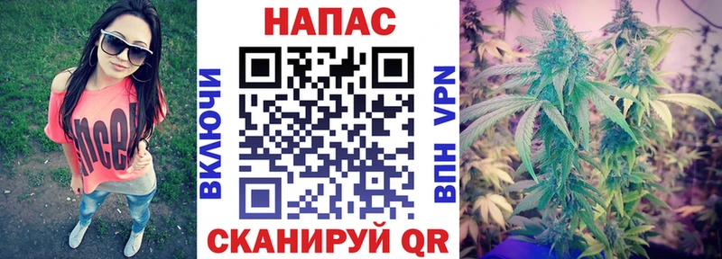 Канабис AK-47  как найти   Камень-на-Оби 